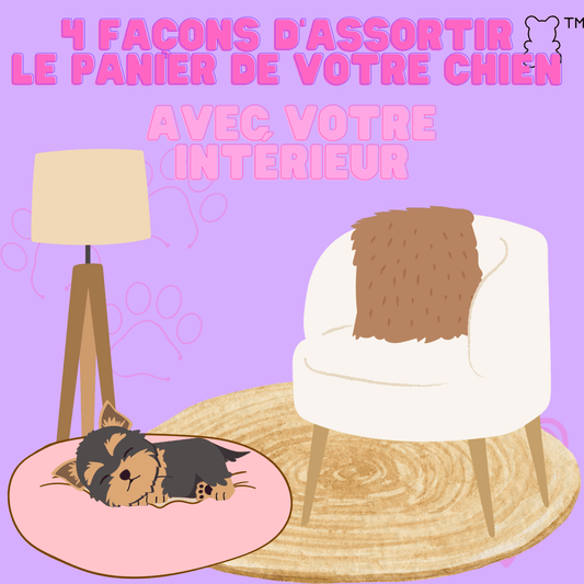 4 façon d'assortir le panier de votre chien avec votre intérieur - melissafendrichcreations