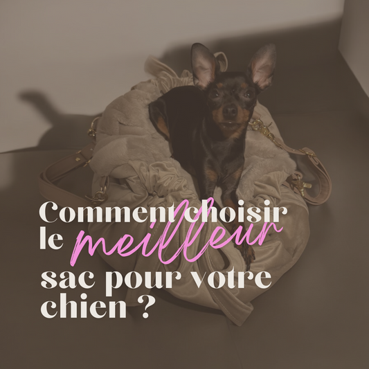 Sac de transport pour chien : comment le choisir ? - melissafendrichcreations