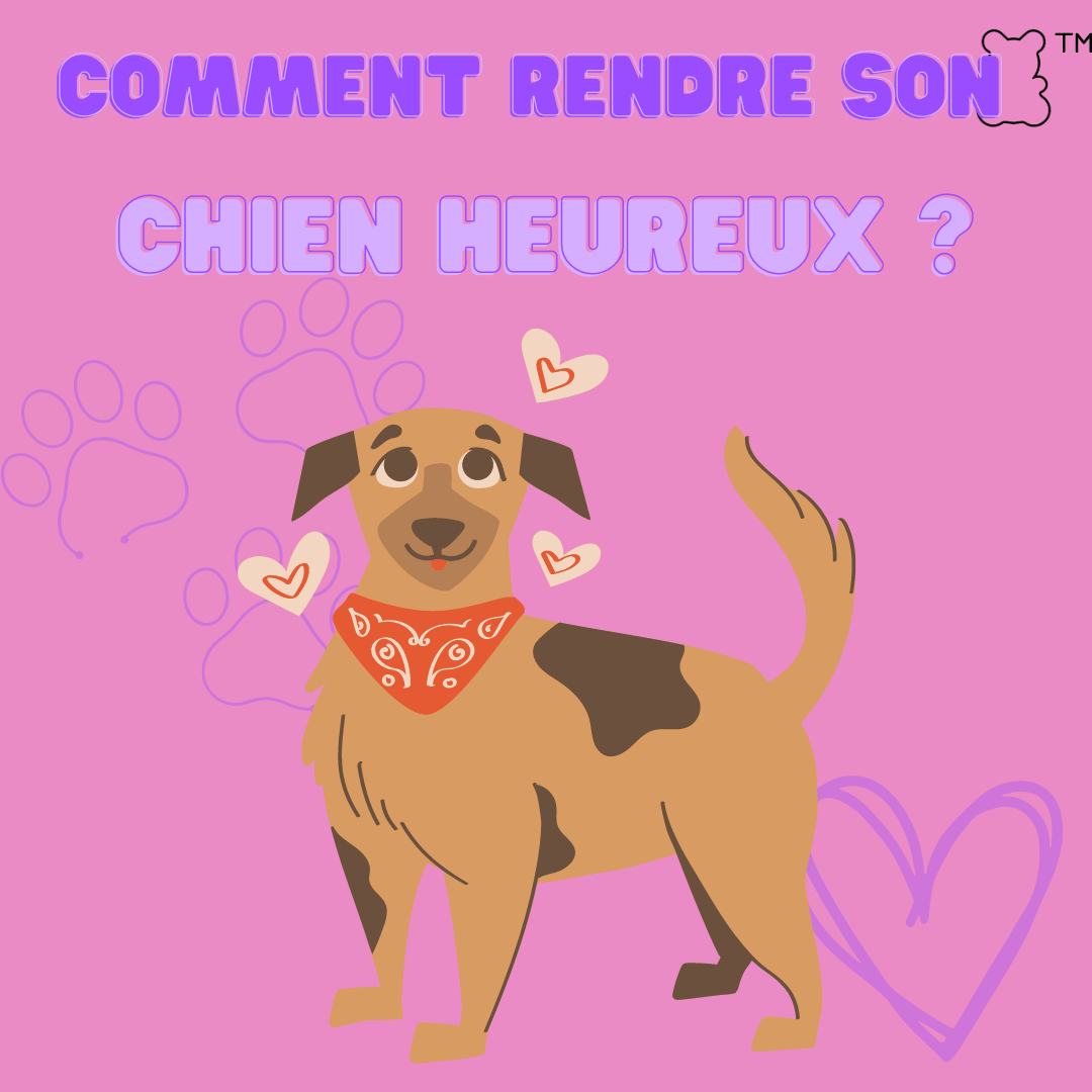 Comment rendre son chien heureux ? - melissafendrichcreations