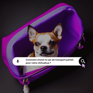 Guide d'achat : Comment choisir le sac de transport parfait pour votre chihuahua ? - melissafendrichcreations