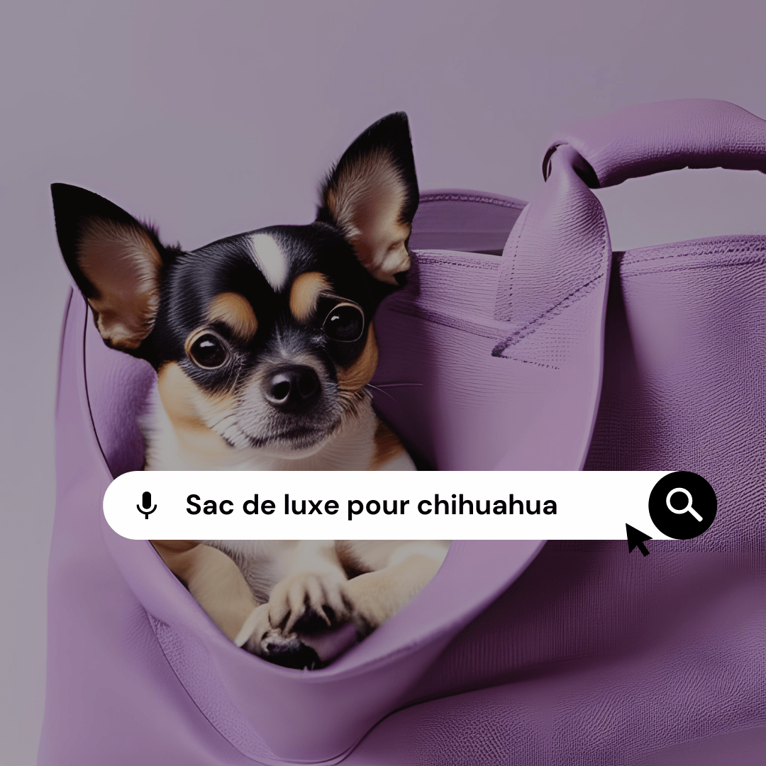 Les sacs de transport de luxe pour chihuahua : Allier élégance et confort pour votre chien - melissafendrichcreations