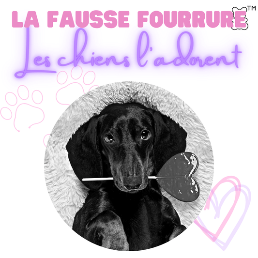 L'intérêt de la fausse fourrure dans un sac de transport de luxe pour chien - melissafendrichcreations