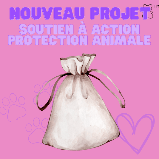 Nouveau projet : Soutien à l'association Action Protection Animale - melissafendrichcreations