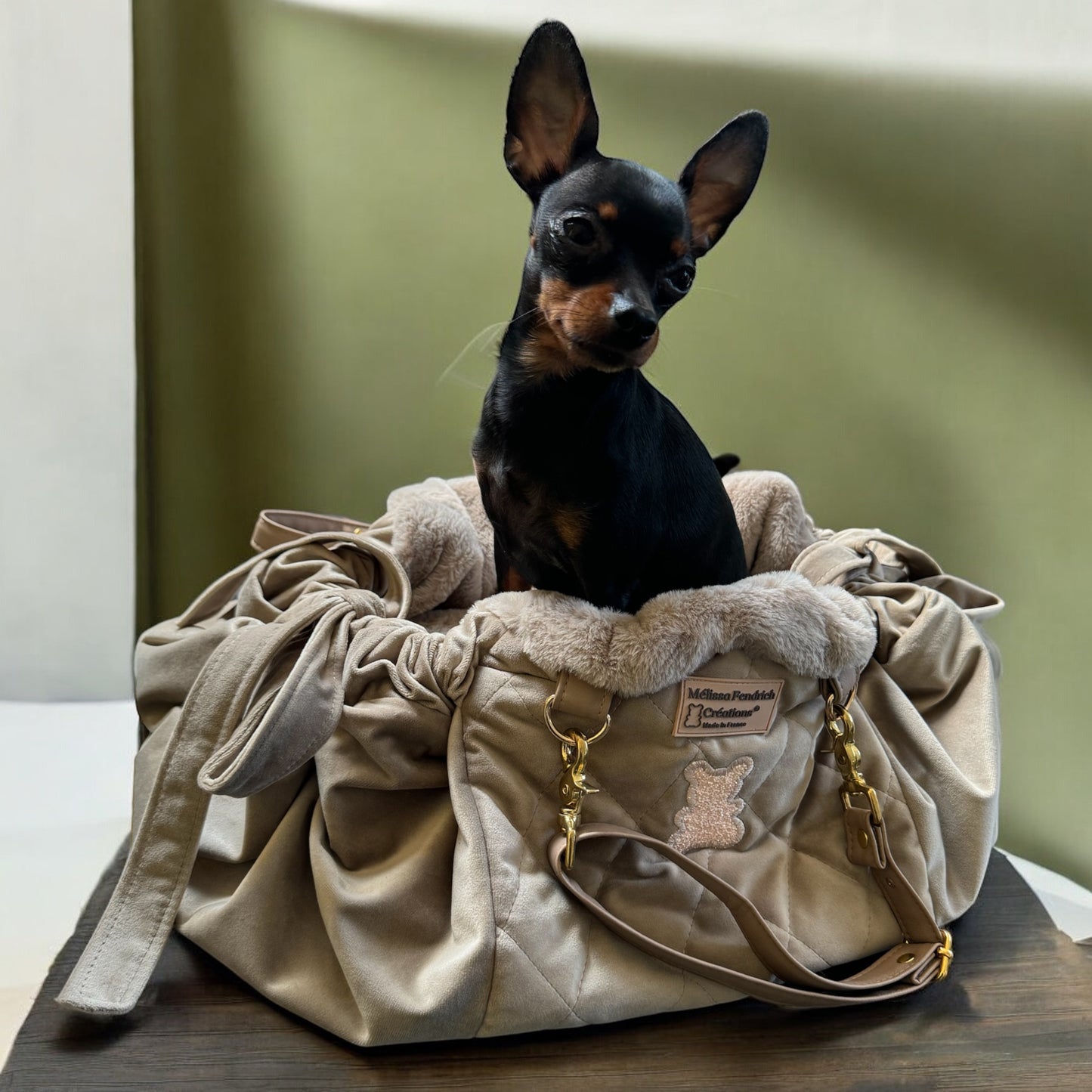 Sac pour chihuahua beige