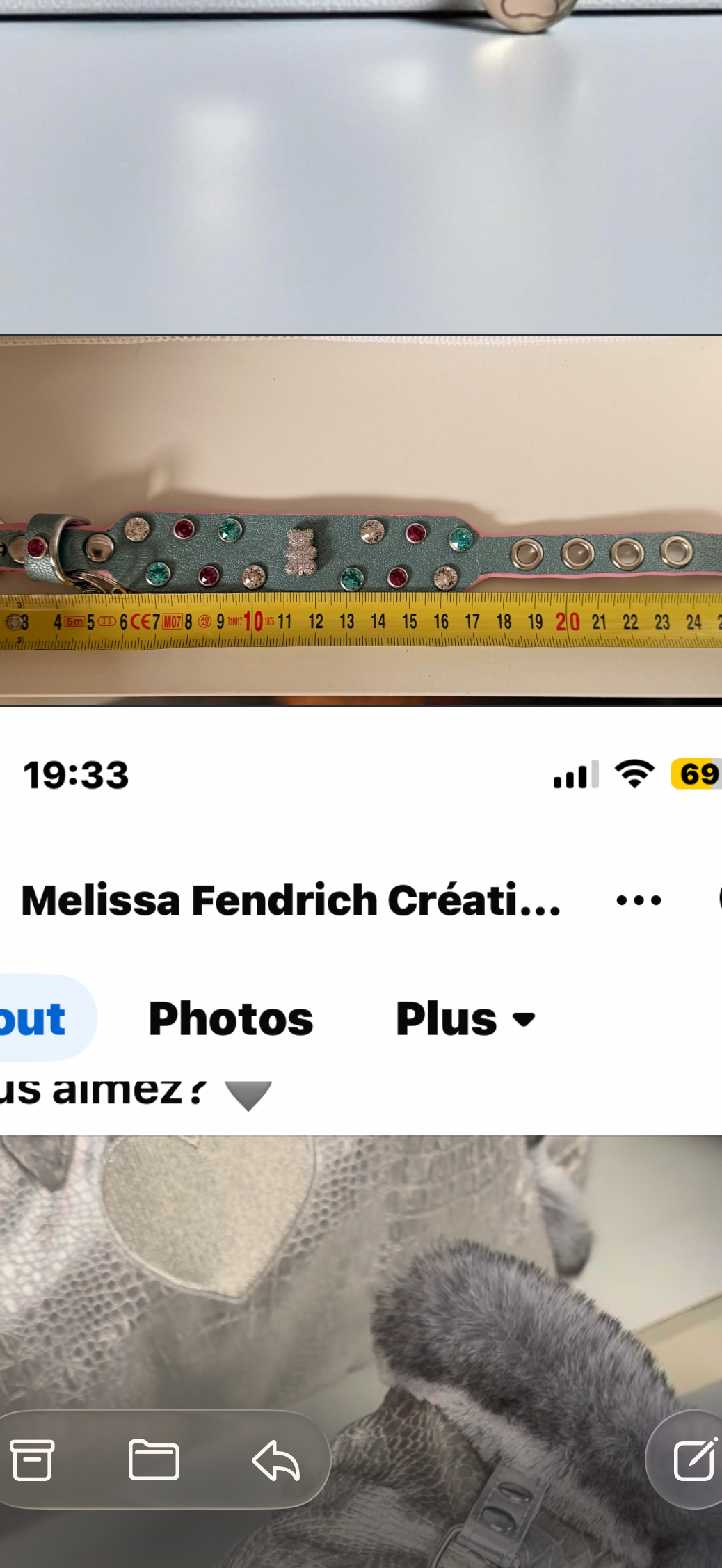 Commande personnalisée sac Stella, collier, laisse, harnais