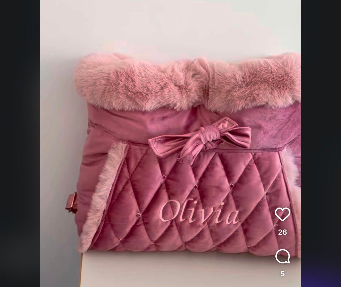 Front bag for Benny