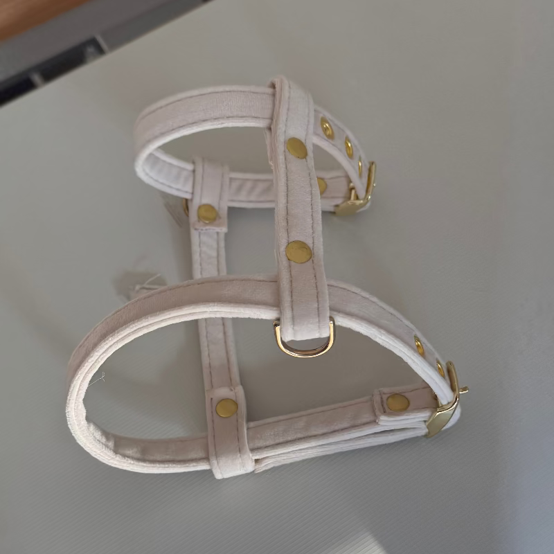 Harnais chihuahua luxe