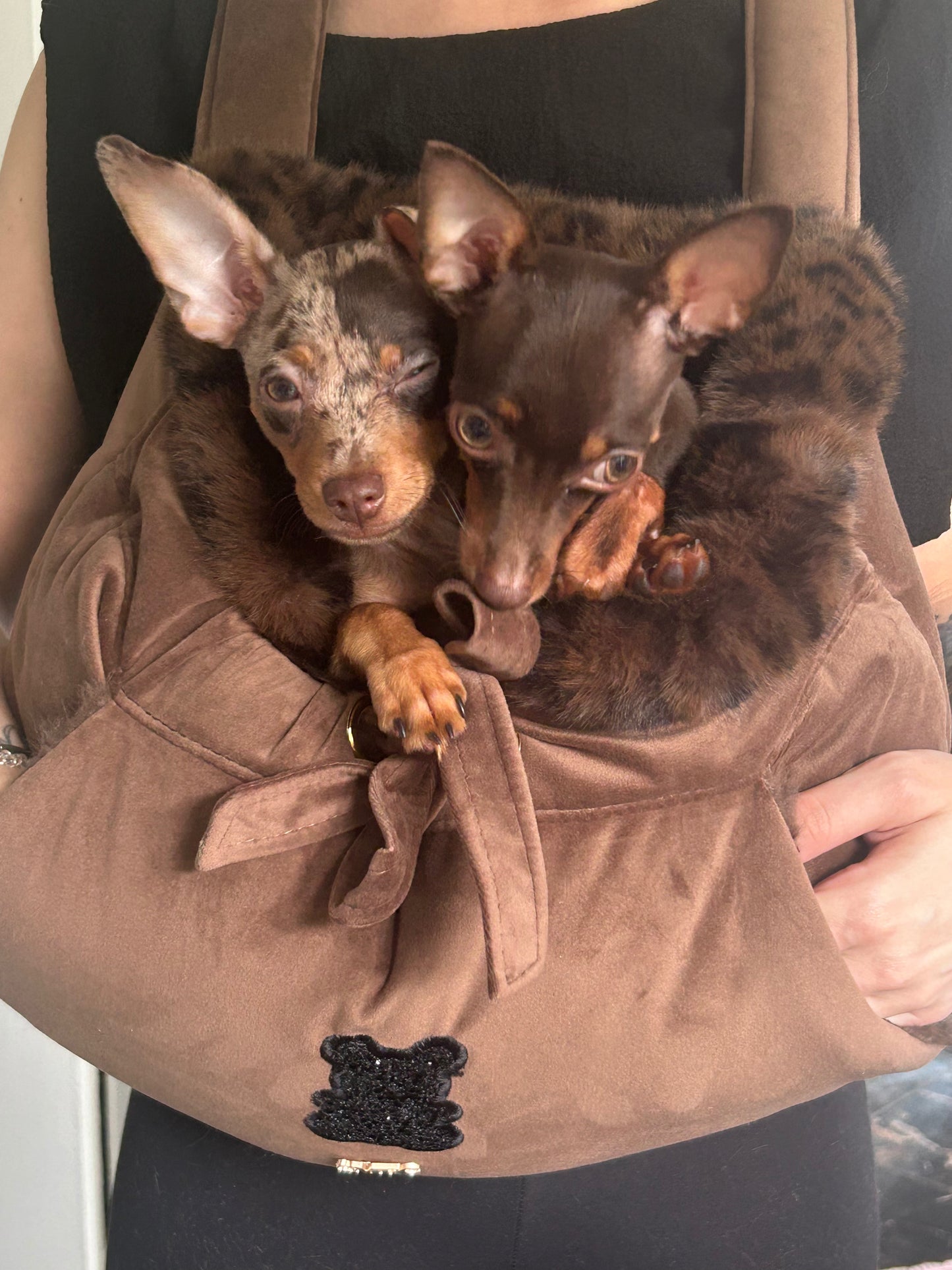 Sac de transport pour chien ventral personnalisé