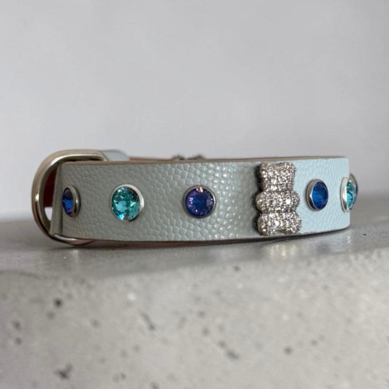 collier chihuahua en cuir