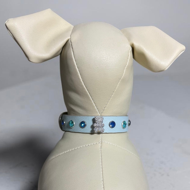 collier chihuahua en cuir