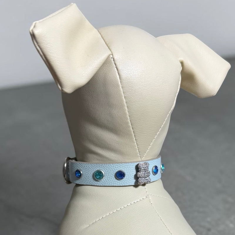 collier chihuahua en cuir