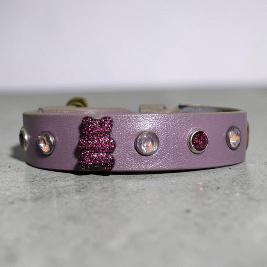 collier chihuahua en cuir