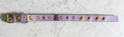 collier chihuahua en cuir