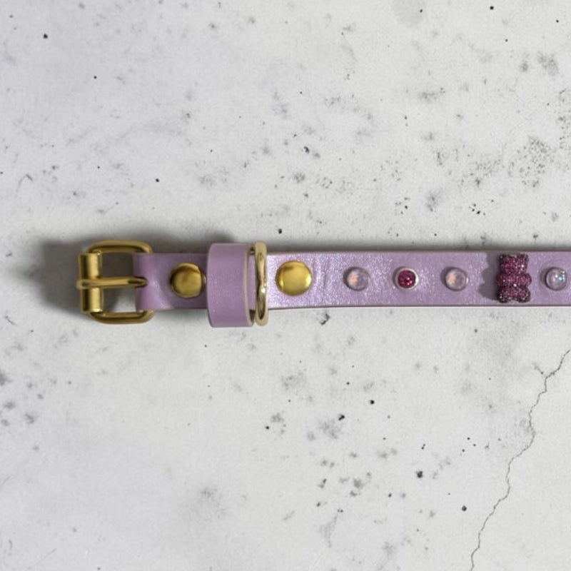 collier chihuahua en cuir