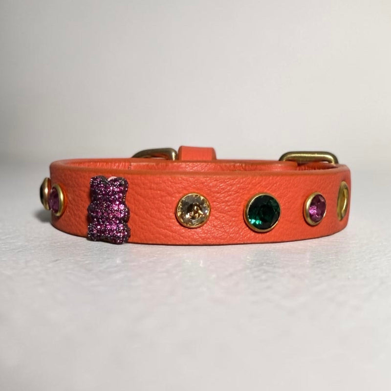 collier chihuahua en cuir