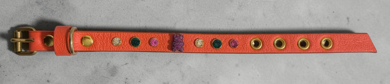 collier chihuahua en cuir