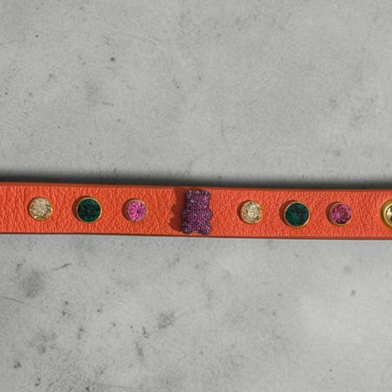 collier chihuahua en cuir