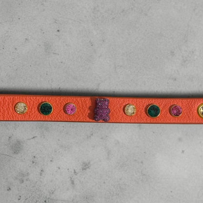 collier chihuahua en cuir