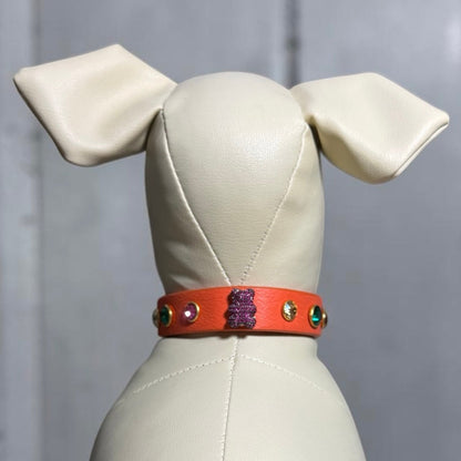 collier chihuahua en cuir