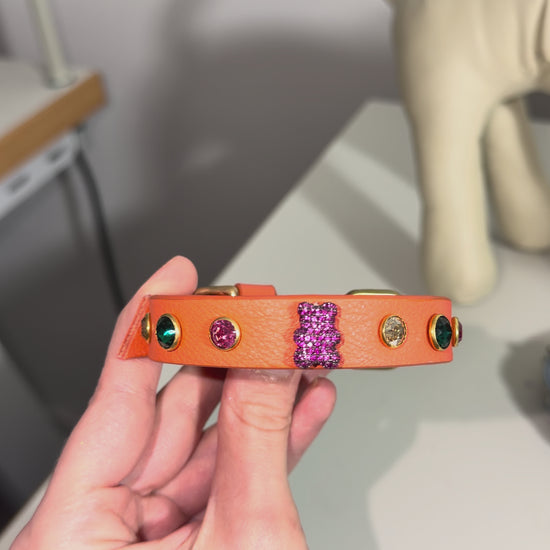 collier chihuahua en cuir