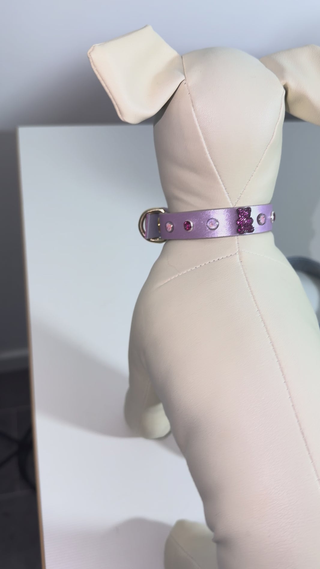 collier chihuahua en cuir