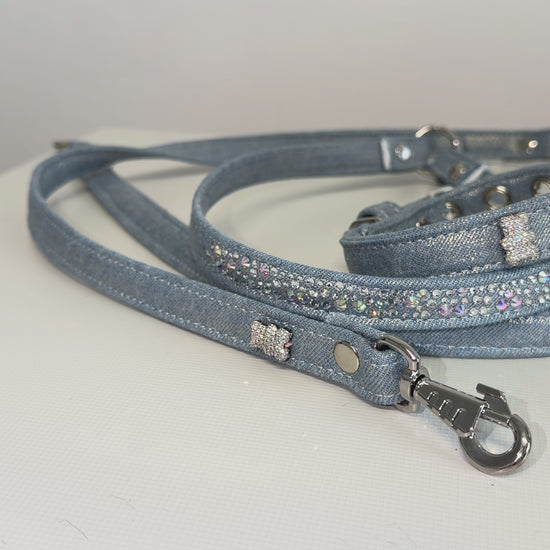 laisse chihuahua strass