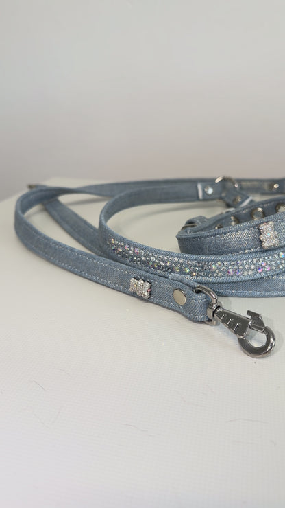 laisse chihuahua strass