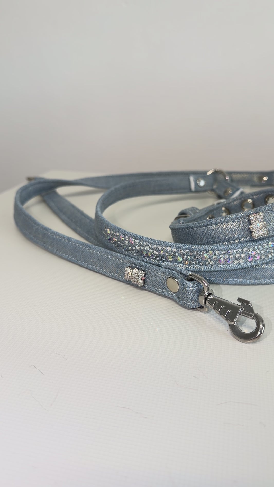 laisse chihuahua strass