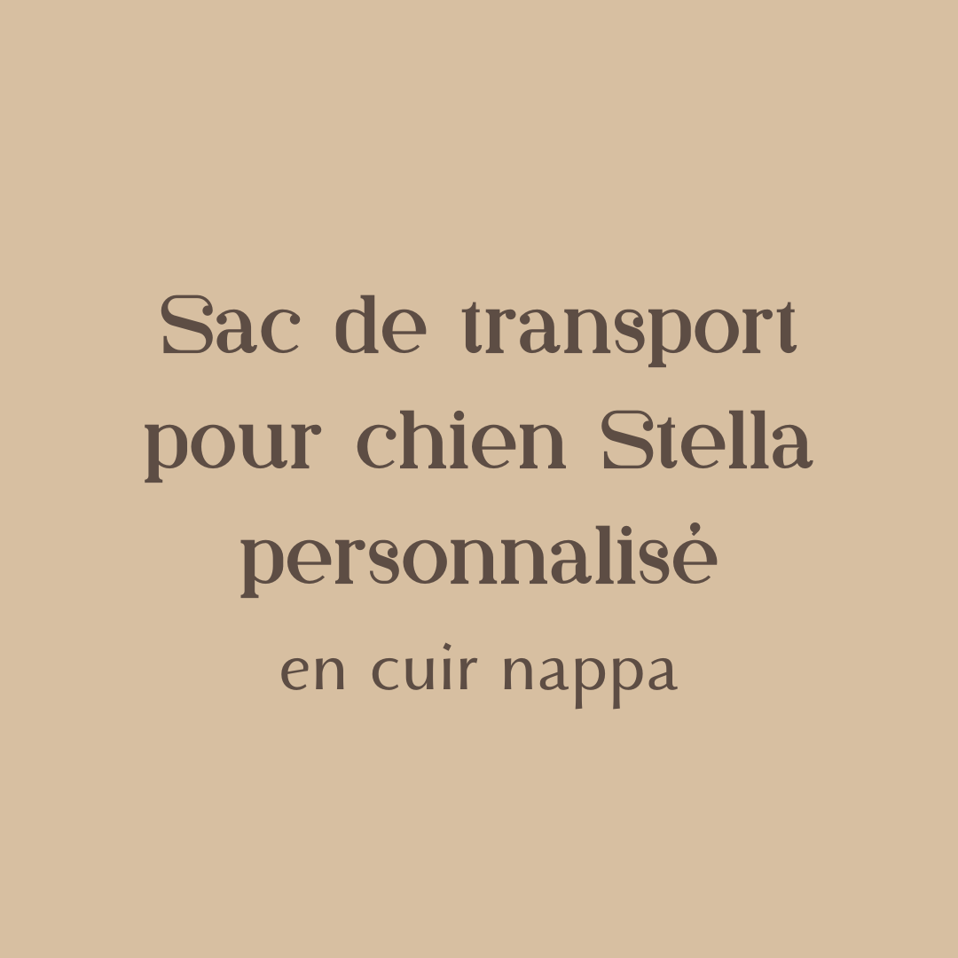 Sac de transport pour chien en cuir nappa personnalisé